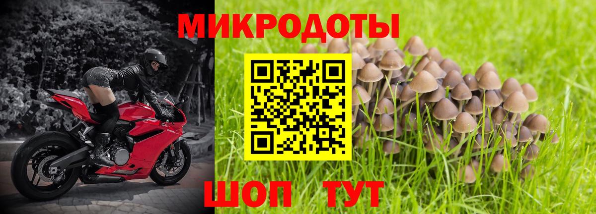 Псилоцибиновые грибы мицелий Фролово